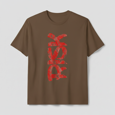Men’s  RISK Graphic T-Shirt – Street Style cotton Summer Wear